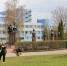 В Брянске проходит общегородской субботник - Областная Дума