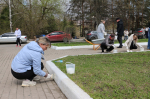 В Брянске проходит общегородской субботник