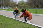 В Брянске проходит общегородской субботник