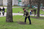 В Брянске проходит общегородской субботник