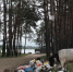 В Брянске обновлены правила содержания и выгула сельскохозяйственных животных - Брянская улица