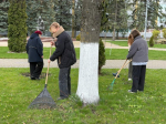 Университет присоединился к Всероссийской неделе субботников  «Мы за чистоту»