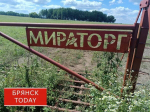 Глава Брянской области рассказал о новом соглашении «Мираторгом»