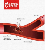 В Брянской области успешно испытали новый компонент крови