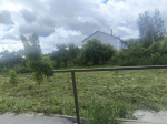Брянский район борется с борщевиком: работы прошли в двух сёлах