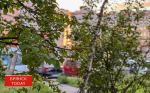 В Трубчевске водитель отсудил деньги за рухнувшее на его машину дерево