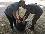 В санитарной пятнице приняли участие 96 сотрудников городской и районных администраций