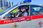Более 20 правонарушителей задержали росгвардейцы за прошлую неделю в Брянске