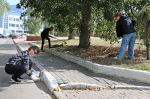 Депутаты и сотрудники областной Думы приняли участие в субботнике
